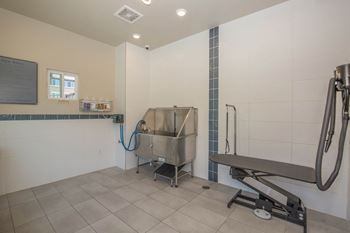 Dog bath area